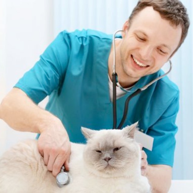 Dr Christophe Pouillaude